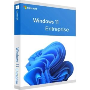 Windows 11 Enterprise Digital License