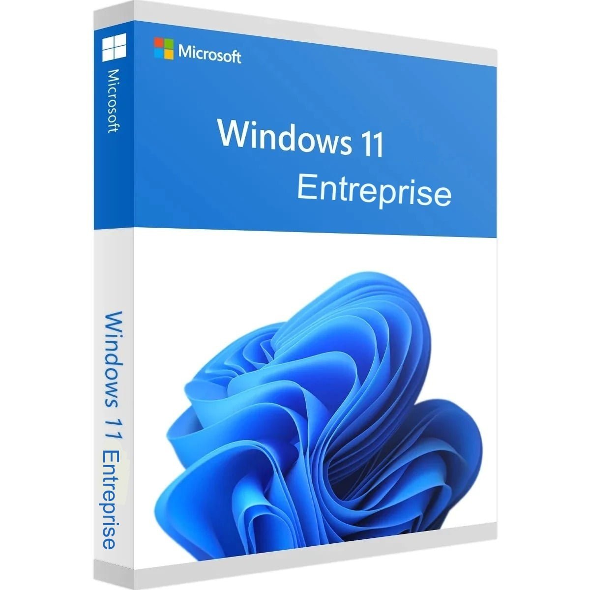 Windows 11 Enterprise Digital License