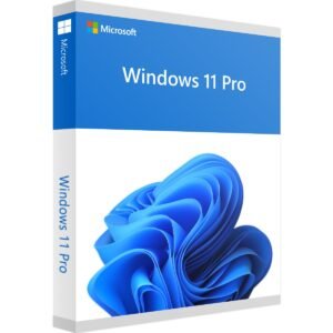 Microsoft Windows 11 Professional Digital License